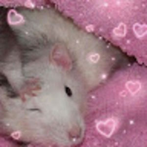 Meet your Posher, Margaret